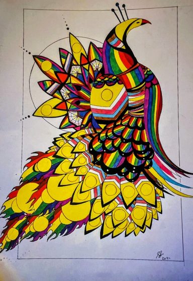 pride peacock pride peacock