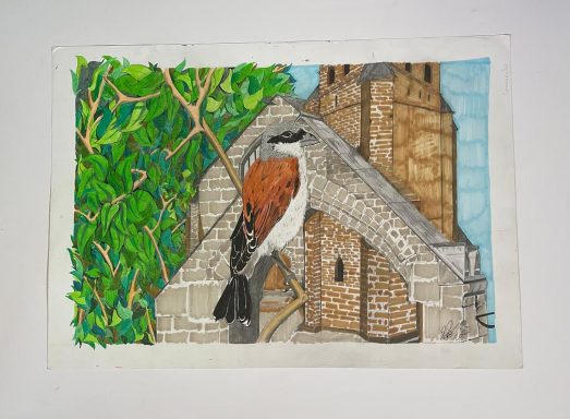 Bird view 2# bird church leaves pencil water colour